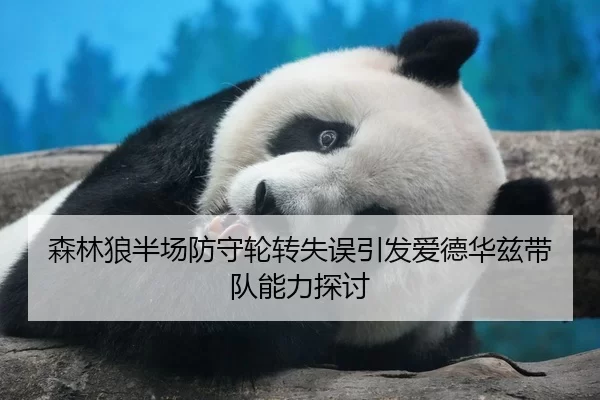 森林狼半场防守轮转失误引发爱德华兹带队能力探讨