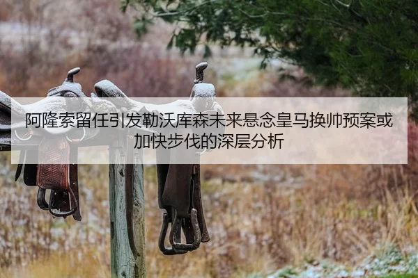 阿隆索留任引发勒沃库森未来悬念皇马换帅预案或加快步伐的深层分析