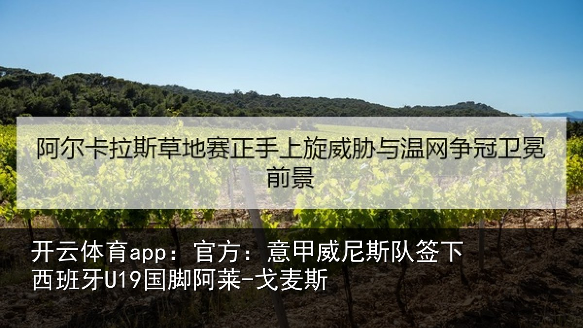 开云体育app：官方：意甲威尼斯队签相关情况-戈麦斯